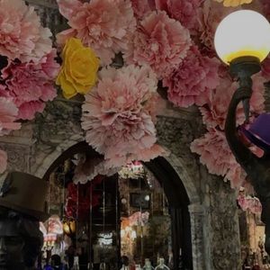 Meet your Posher, Abigail